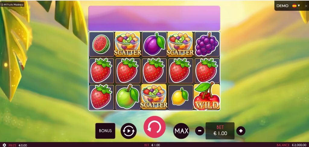 Fruits Madness